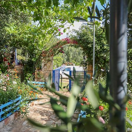 Holiwood Motel Himare Ngoại thất bức ảnh