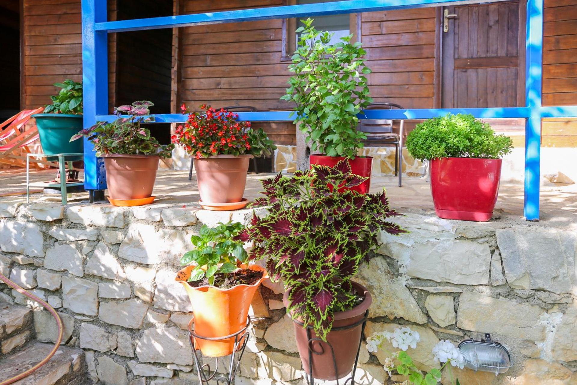 Holiwood Motel Himare Ngoại thất bức ảnh