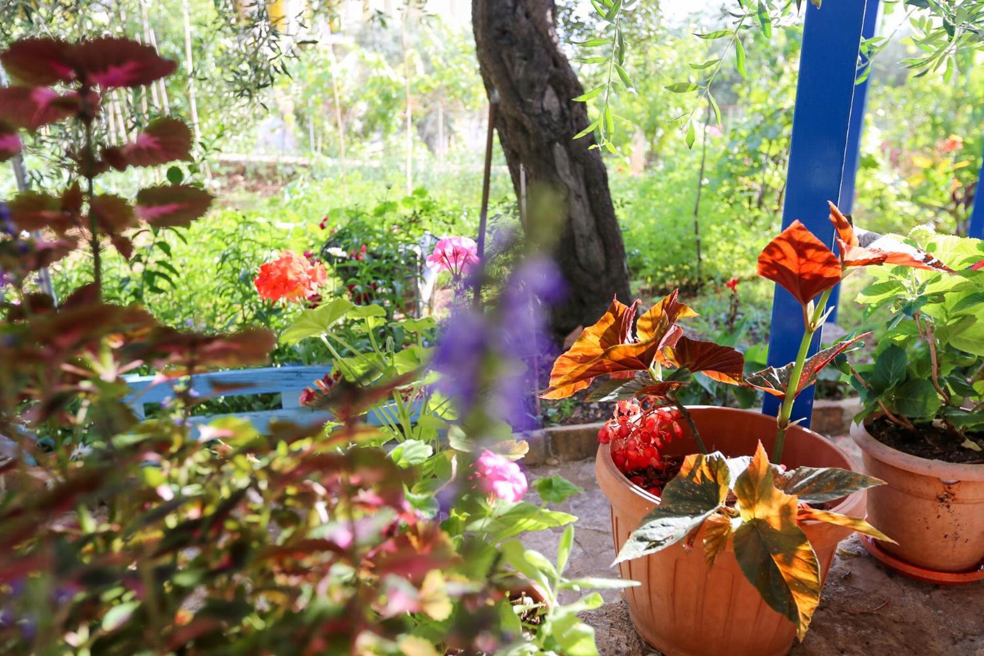 Holiwood Motel Himare Ngoại thất bức ảnh