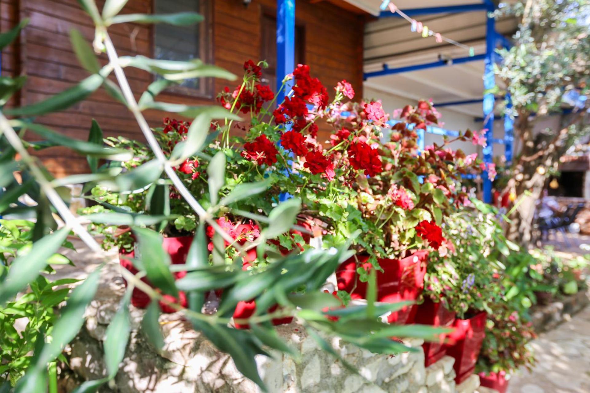 Holiwood Motel Himare Ngoại thất bức ảnh