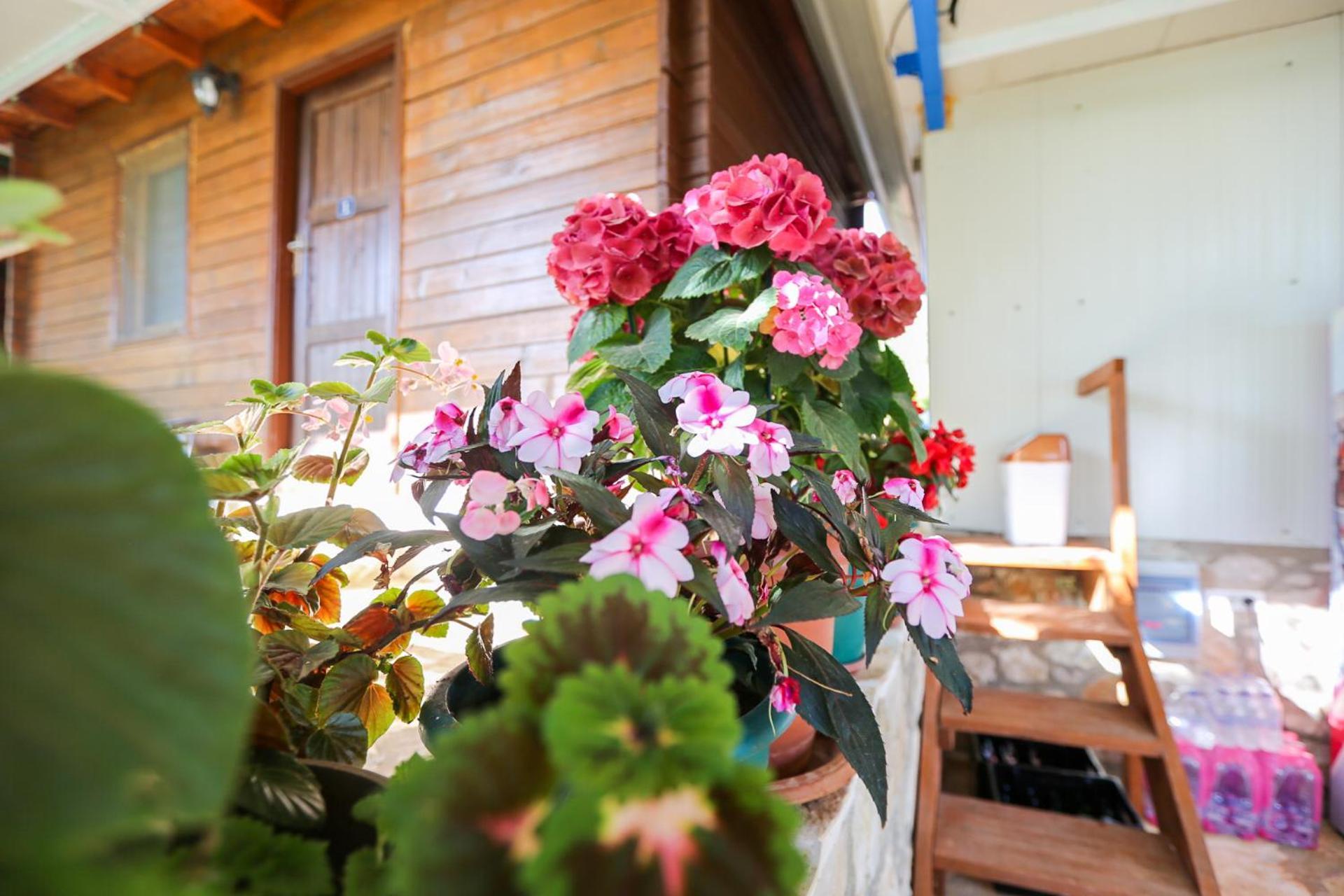 Holiwood Motel Himare Ngoại thất bức ảnh