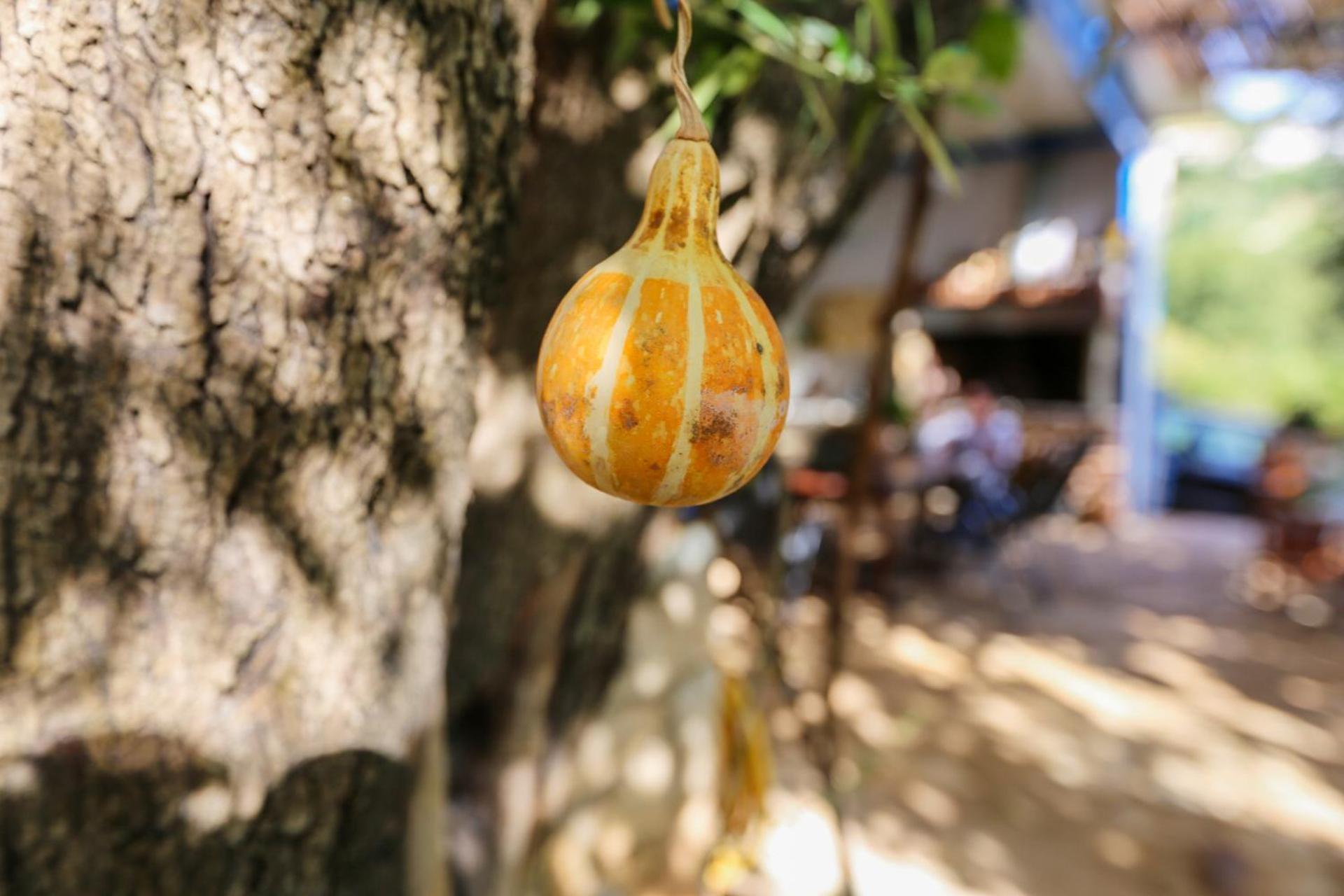 Holiwood Motel Himare Ngoại thất bức ảnh