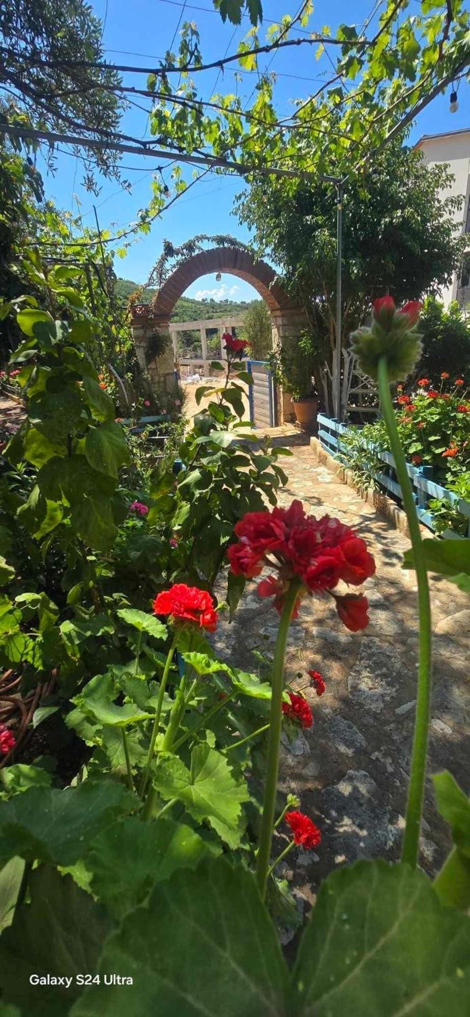 Holiwood Motel Himare Ngoại thất bức ảnh
