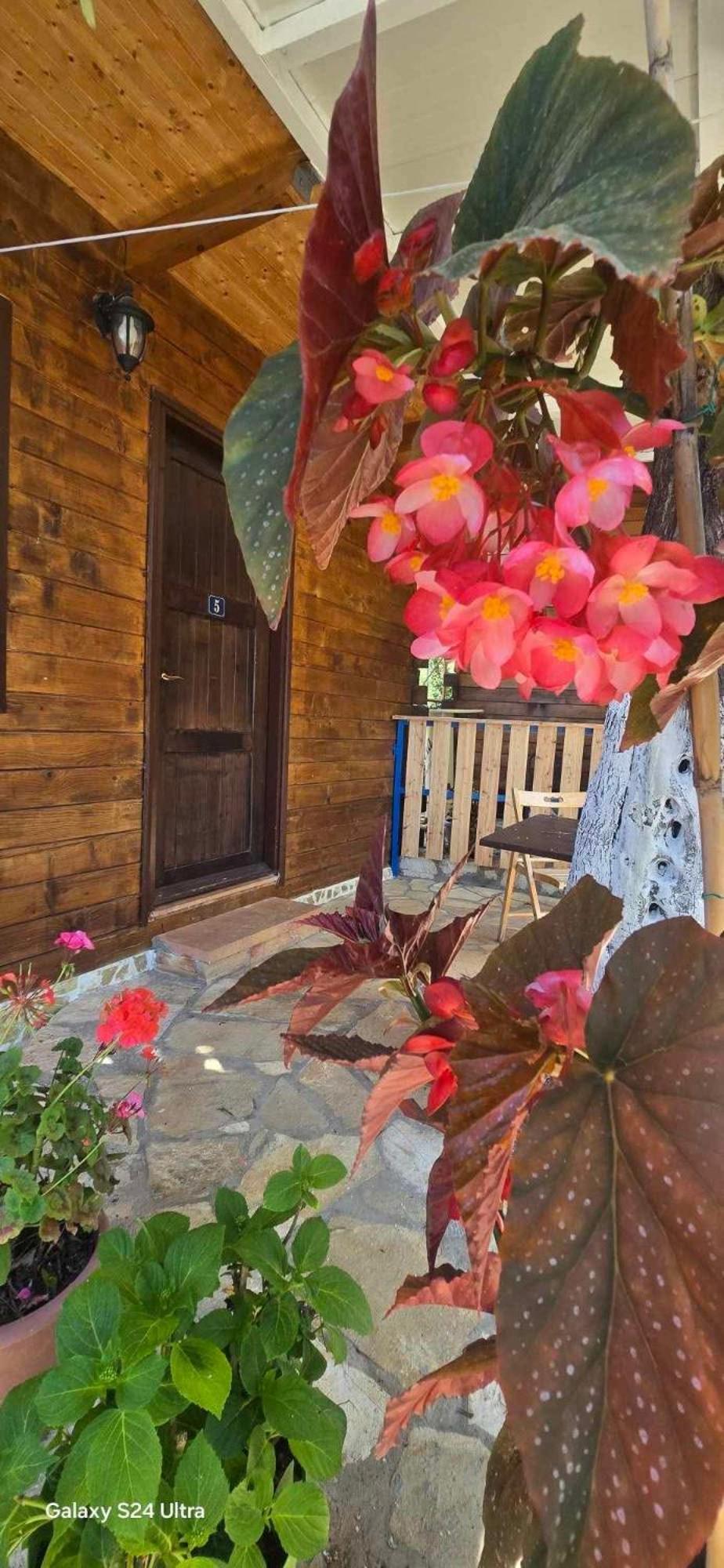 Holiwood Motel Himare Ngoại thất bức ảnh