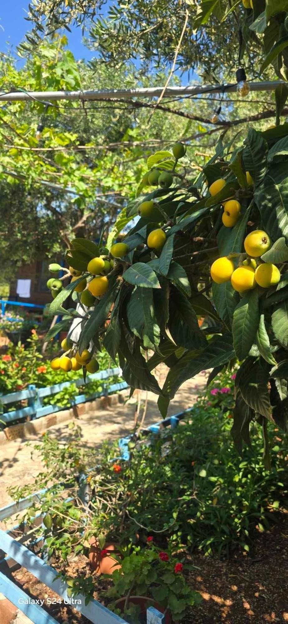 Holiwood Motel Himare Ngoại thất bức ảnh