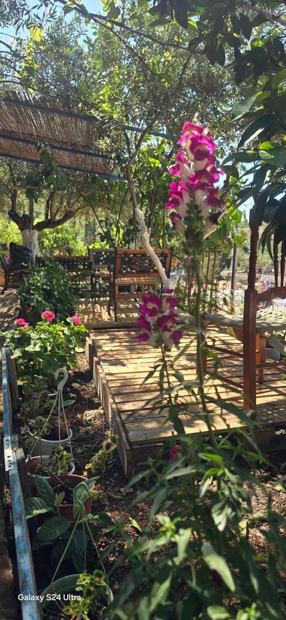 Holiwood Motel Himare Ngoại thất bức ảnh