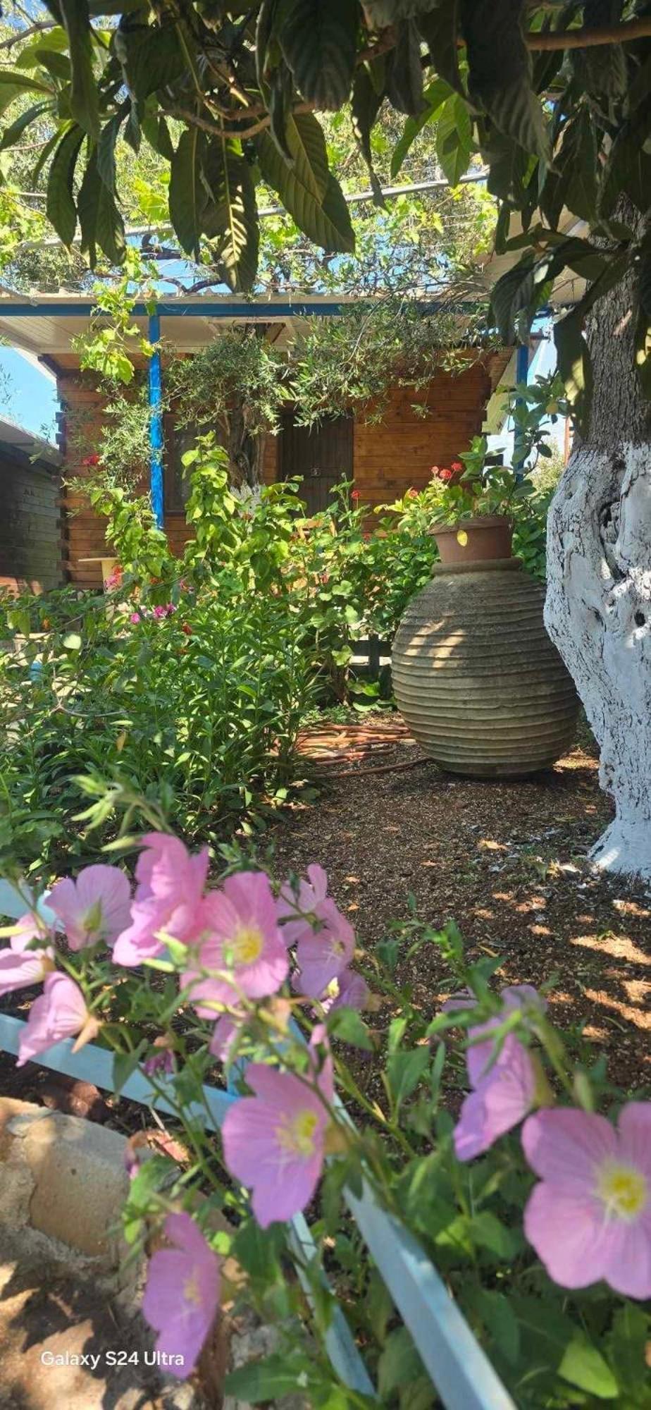 Holiwood Motel Himare Ngoại thất bức ảnh