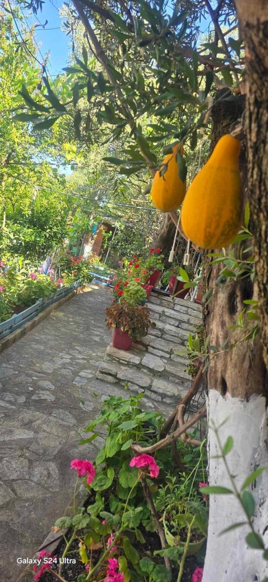 Holiwood Motel Himare Ngoại thất bức ảnh